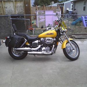 Meet your Posher, Bambi